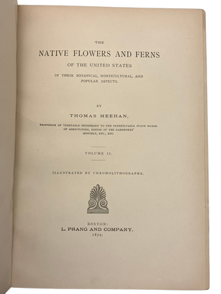 Native Flowers