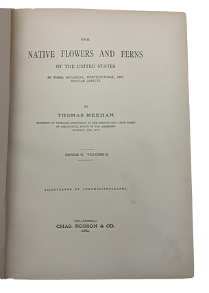 Native Flowers