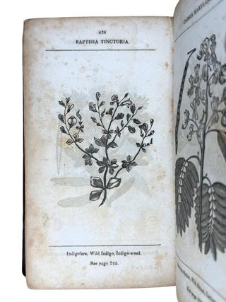 Improved System of Botanic Medicine; Founded Upon Correct