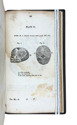 Improved System of Botanic Medicine; Founded Upon Correct