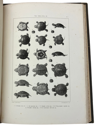 Contributions to the Natural History of the United States of America.
