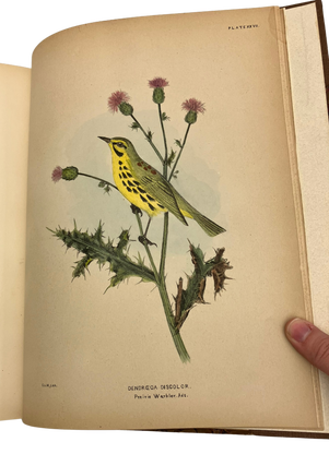 Birds of Eastern North Americ; with Original Descriptions of All