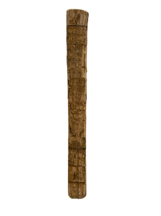 Port Folio: Enlarged. Vol. II