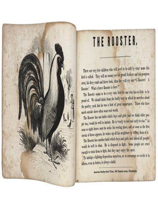 Child's Book of Animals
