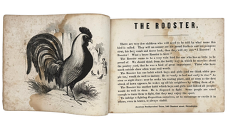 Child's Book of Animals