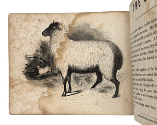 Child's Book of Animals